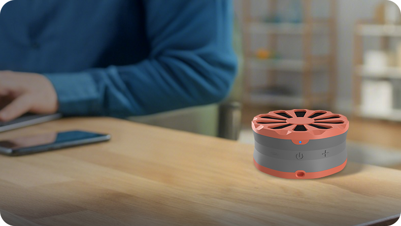 Bluetooth Speakers